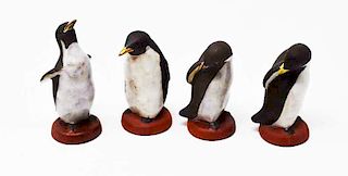 4 Nicodemus penguins