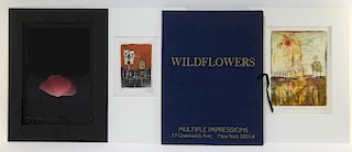 Multiple Impressions NY Wildflowers Portfolio