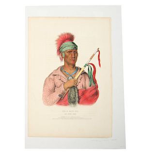 McKenney and Hall Hand-colored Lithographs 