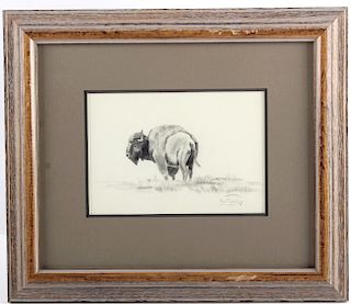 Original Ron Bailey Framed Buffalo Pencil Sketch