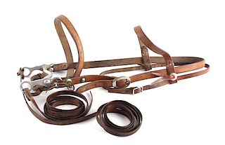 Leather Headstall with Renalde Aluminum Bit