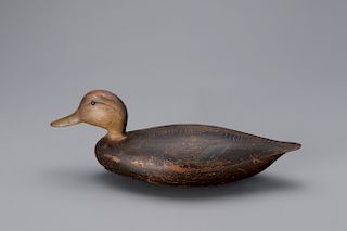 Black Duck, Benjamin D. Smith (1866-1946)