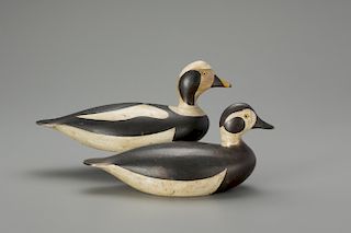 Long-Tailed Duck Pair, Joseph W. Lincoln (1859-1938)