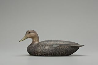 High-Head Black Duck Hen, Louis C. Rathmell (1898-1974)