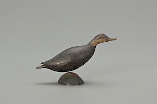 Miniature Black Duck, A. Elmer Crowell (1862-1952)
