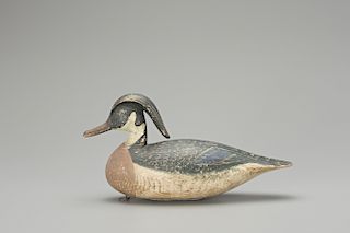 Wood Duck Drake, Mark S. McNair (b. 1950)