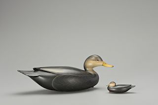 Full-Size and Miniature Black Duck, George Strunk (b. 1958)
