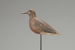 Red Knot, John Dilley