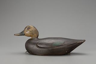 Black Duck, Charles Hart (1862-1960)