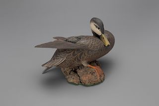 "Sunbathing" Black Duck, Lemuel T. Ward (1896-1983)