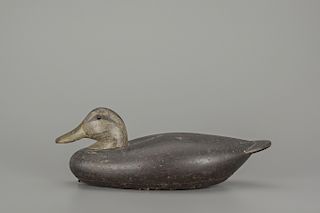 Black Duck, Benjamin Holmes (1843-1912)
