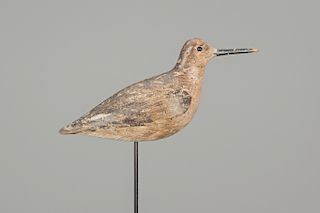 Dowitcher, John Dilley