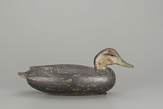 Black Duck, John English (1848-1915)