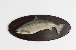 Arching Landlocked Salmon