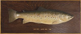 Brown Trout Model, Peter Duncan Malloch (1853-1921)
