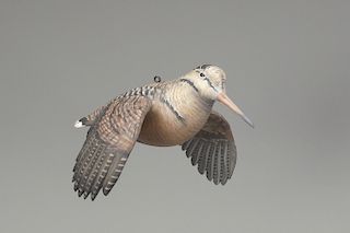Flying Woodcock, Mike Borrett (b. 1960)