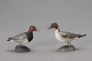 Miniature Pintail and Redhead, A. J. Ditman (1884-1974)