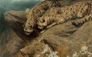 Arthur Wardle (1864-1949) Snow Leopards