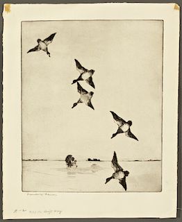 Frank W. Benson (1862-1951) On Swift Wings