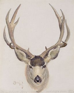 William Herbert Dunton (1878-1936), Mule Deer Buck