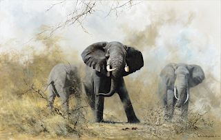 David Shepherd (1931-2017), Angry Elephants (1964)