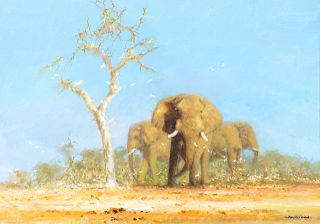 David Shepherd (1931-2017), Elephant Country (2001)