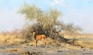 David Shepherd (1931-2017), Kudu Calf (1993)