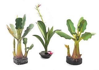 Three Painted Wood Models of Tropical Plants, Height of tallest 22 1/4 inches.
