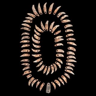 A Canine Tooth Necklace with Pendant