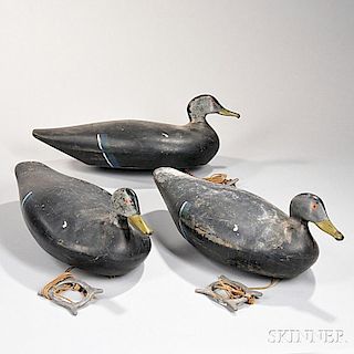 Three Large Black Duck Decoys
