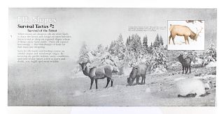 Porcelain Enamel Yellowstone Elk Information Sign