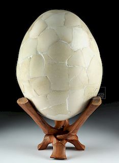 16th C. Elephant Bird Egg from Madagascar