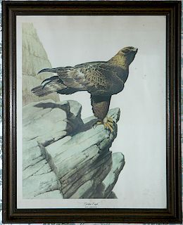Guy Coleleach Eagle Print
