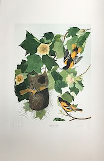 Lithograph, Baltimore Oriole, by M. Bernard Loates