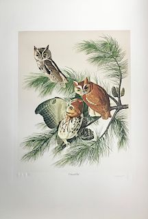 Lithograph, Screech Owl, by M. Bernard Loates