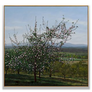 William Sullivan (b. 1950): Cherry Orchard