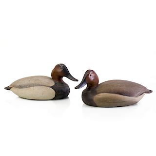Pair of Ward Brothers Canvasback Painted Balsa Wood Duck Decoys