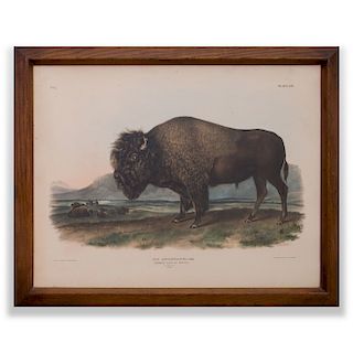 John James Audubon (1785-1851): American Bison