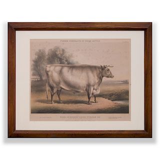 After William Henry Davis (1786/95-1865): Earl Spencer's Prize Durham Ox, from Fore's Portraits of Prize Cattle