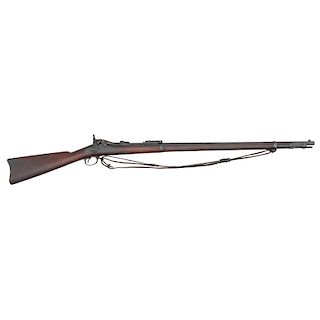 Springfield U.S. Model 1888 Trapdoor Rifle