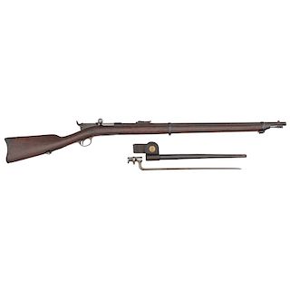 Remington-Keene Navy Rifle & Bayonet