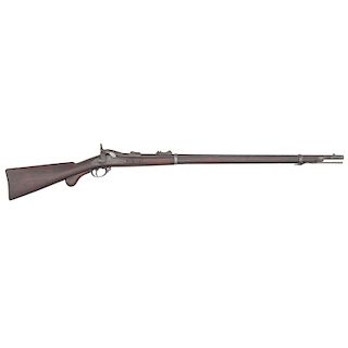 U.S. Model 1881 Trapdoor Long Range Target Rifle