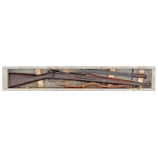 **Armory Cased Springfield U.S. Model 1903 Armistice Rifle 