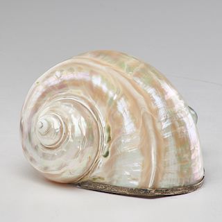 STERLING-MOUNTED SHELL