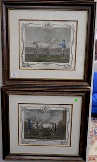 Set of six British School sporting prints and mezzotints including The Portraiture of "Crab", "Lamprey", "White Horse", "The Famous...