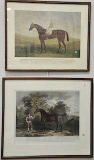 Two Equestrian horse portraits including Hunt Publishers hand colored aquatint "Isonomy" racehorse with jockey and colored steel eng...
