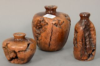 Three carved burlwood vases with glass inserts