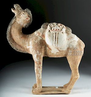 Chinese Tang Dynasty Polychrome Camel, TL Tested