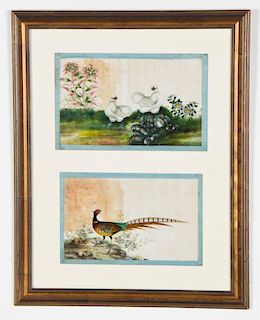 Framed Antique Chinese Pith Paintings
