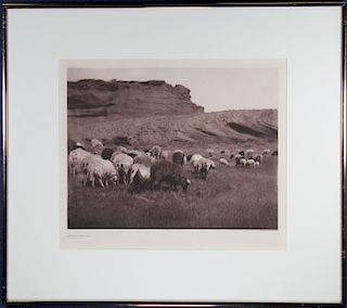 Edward Curtis Photogravure, "Navaho Flocks"